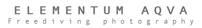 logo main