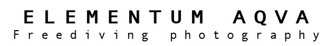 logo dark